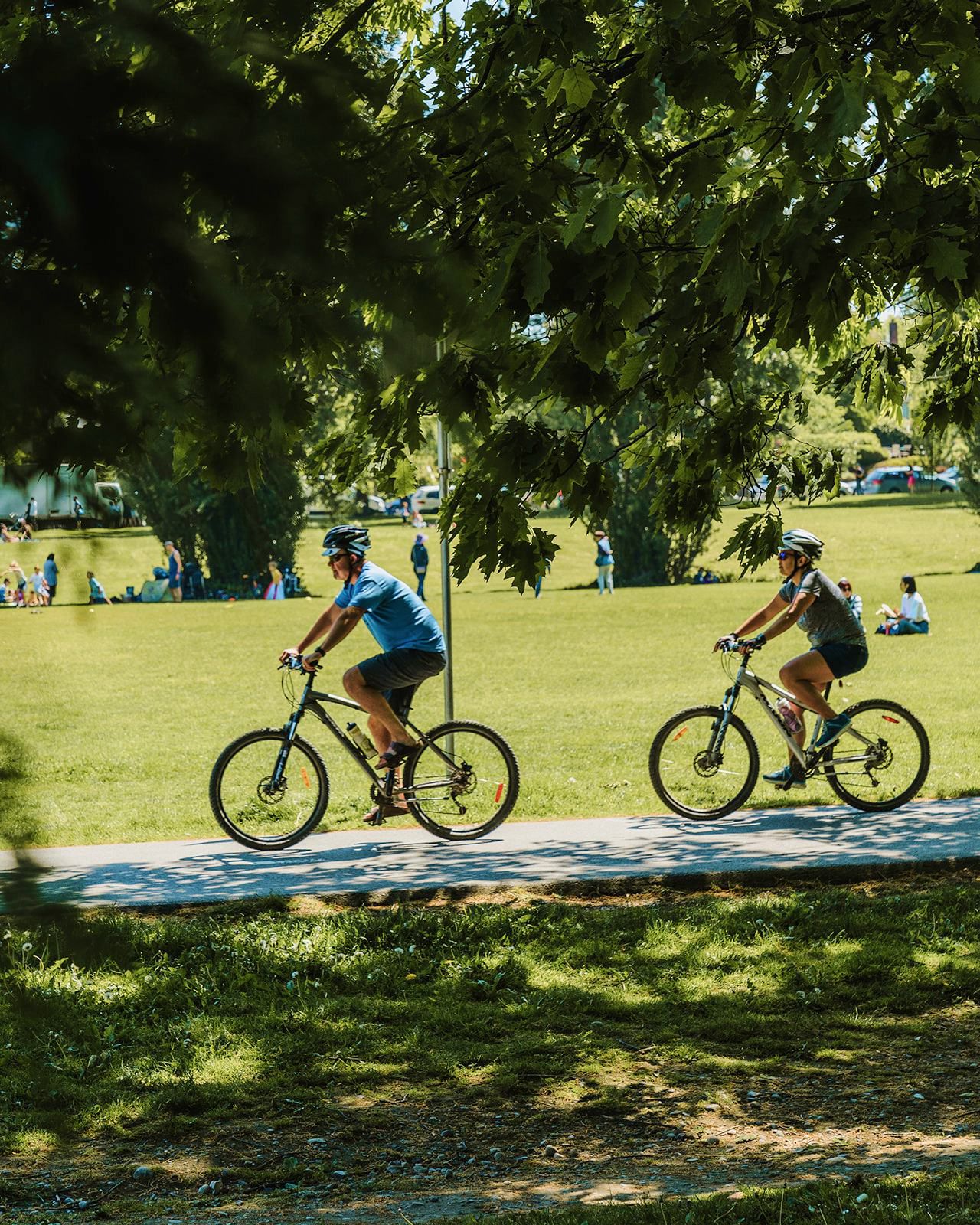 Cyclists in the park